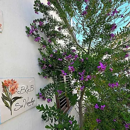 Bed and Breakfast Su Neulagi